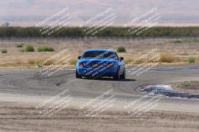 media/Oct-04-2025-OnGrid (Sat) [[44bd565ffa]]/Purple Group/Grapevine/